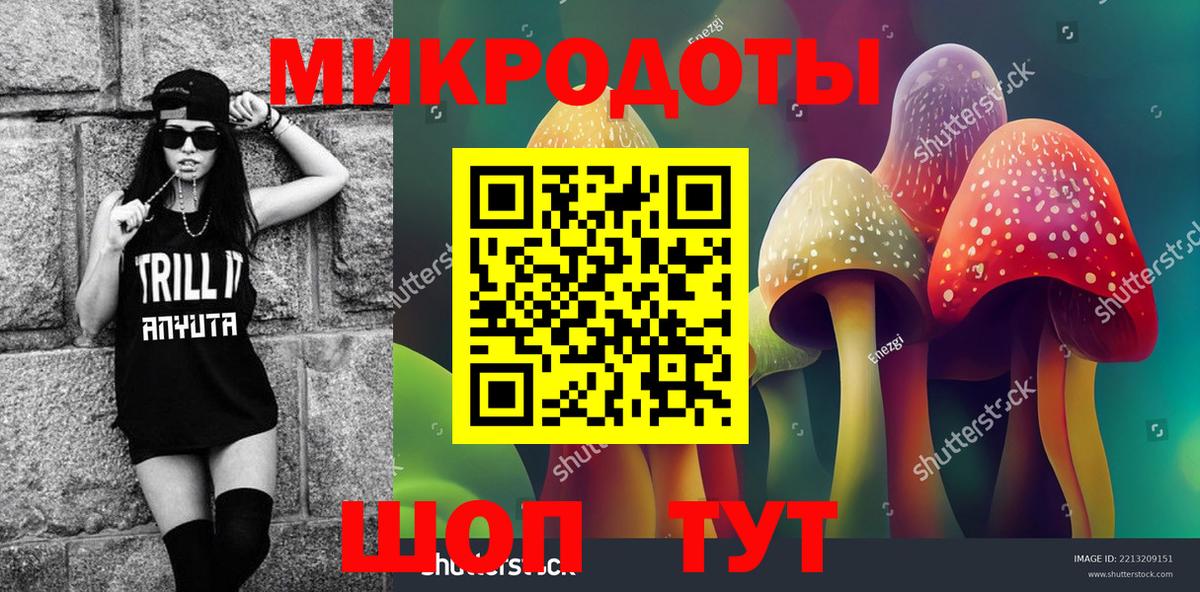 Псилоцибиновые грибы мицелий Артём