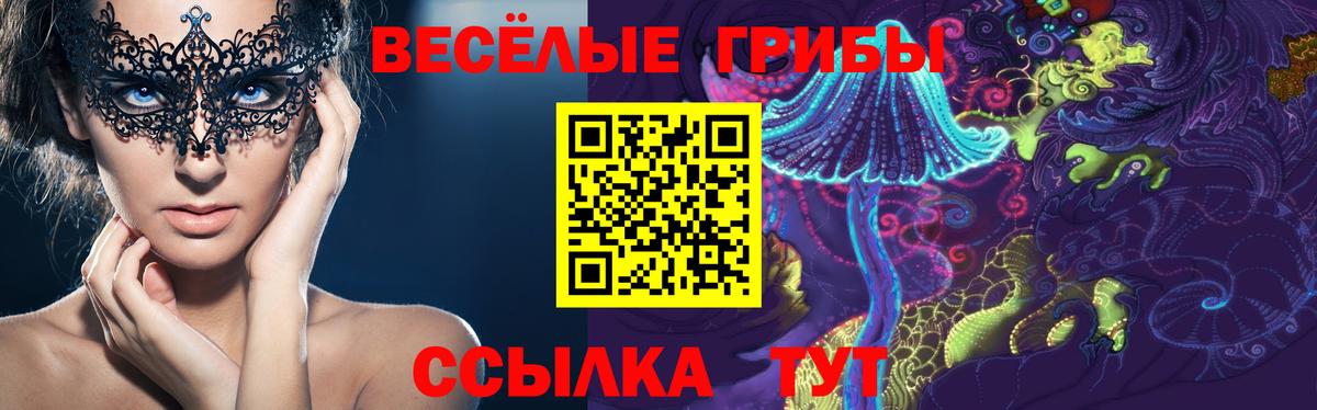 Артём  Псилоцибиновые грибы Psilocybe  Вход с VPN 